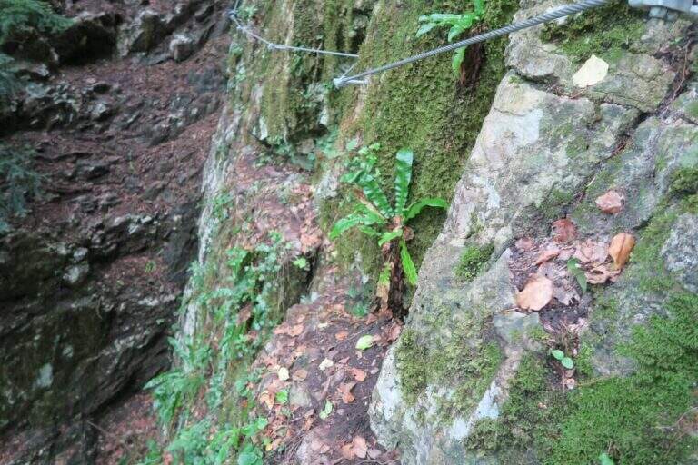 Ferrata Val del Rì - foto 10
