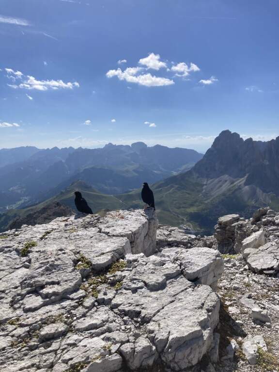 Ferrata delle Mesules (Pößnecker) - foto 51