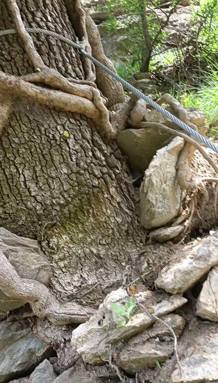 Ferrata delle Gorge sulla Dora Riparia - foto 15