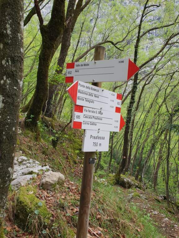 Ferrata Gerardo Sega - foto 51