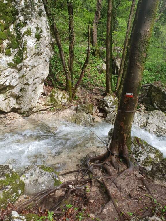 Ferrata Gerardo Sega - foto 52