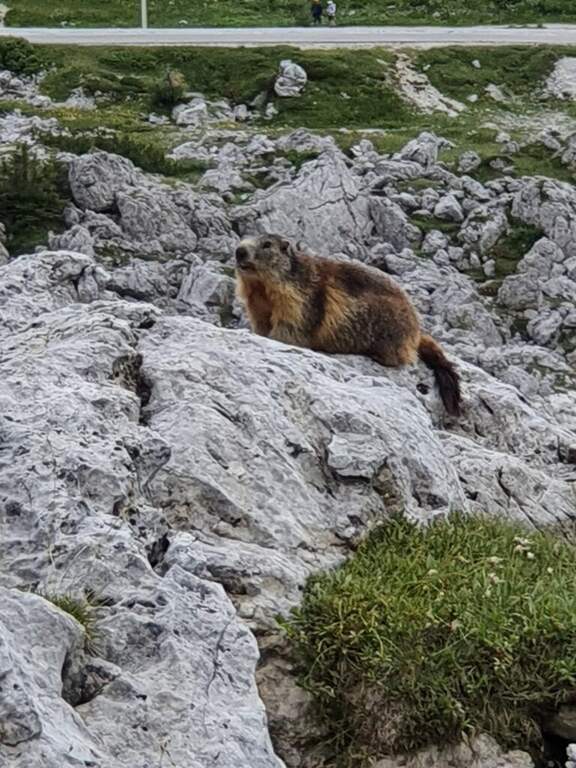 Sentiero Attrezzato Kaiserjager al Lagazuoi - foto 39