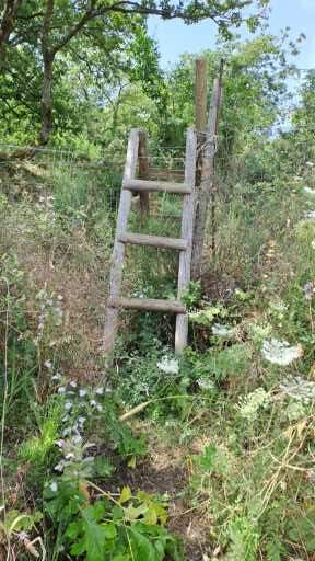 Ferrata di Giorrè - foto 71