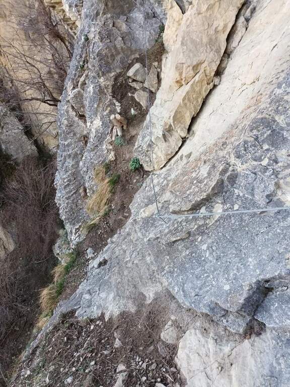 Ferrata Orto del Mandorlo (Pietra di Bismantova) - foto 28