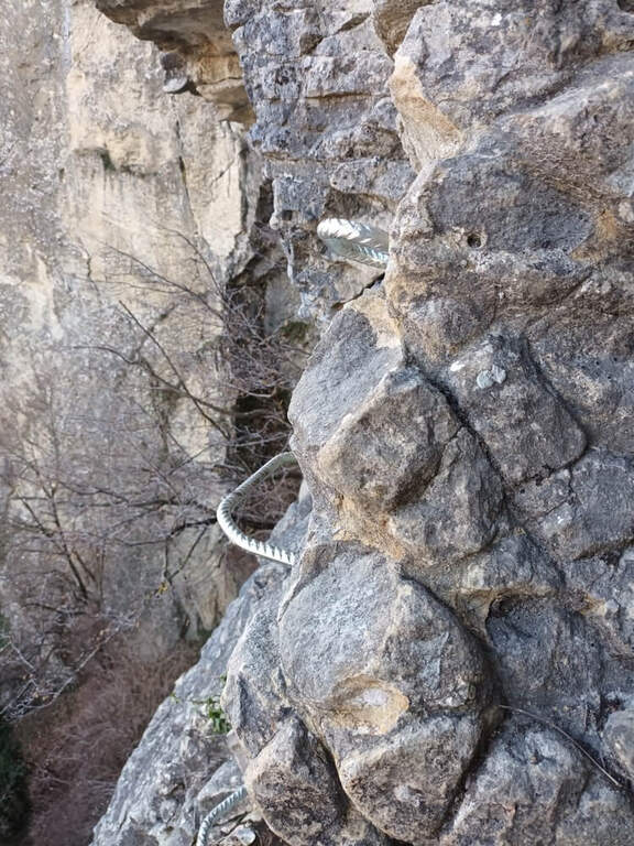 Ferrata Orto del Mandorlo (Pietra di Bismantova) - foto 30