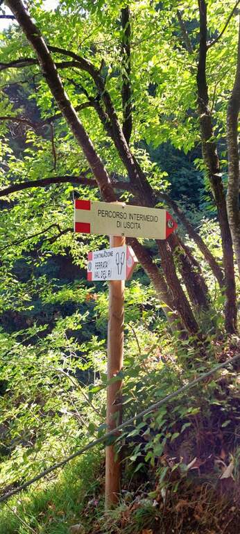 Ferrata Val del Rì - foto 27