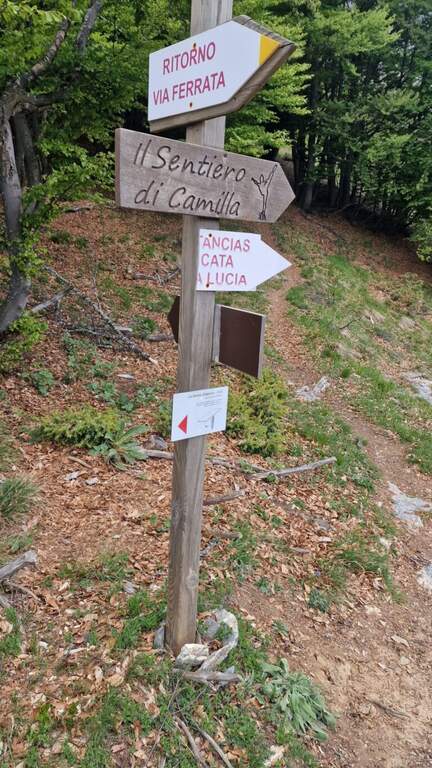 Ferrata dei Funs all'Ico Quaranta - foto 27