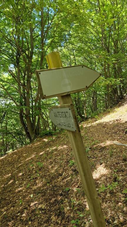 Ferrata dei Funs all'Ico Quaranta - foto 30