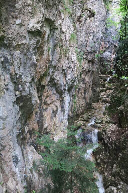 Ferrata Val del Rì - foto 6