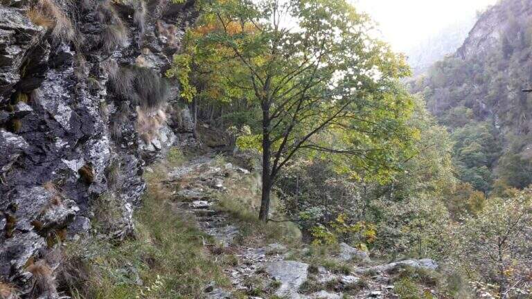 Ferrata Selvaggio Verde (Val Grande) - foto 25