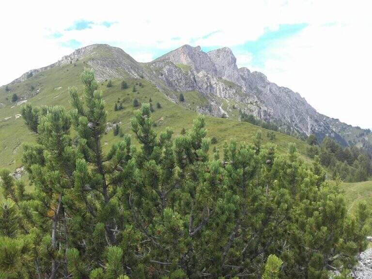 Ferrata di Valdaora alla Cima di Colli Alti - foto 4