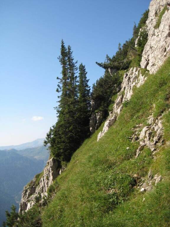 Ferrata Cinquanta del Clap al Creton di Culzei - foto 16