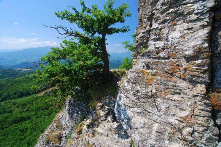 Ferrata degli Alpini alla Pietra di Bismantova - foto 6