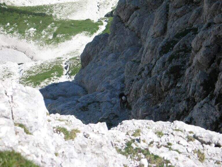 Ferrata Amalia al Jof Montasio - foto 26