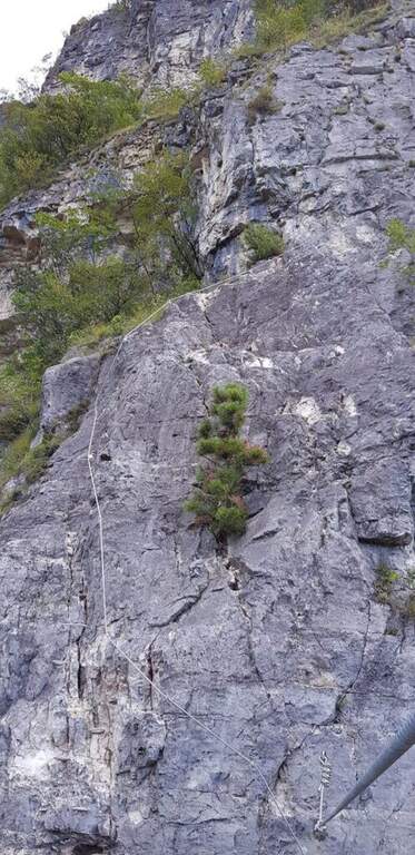 Ferrata Anelli delle Anguane - foto 28