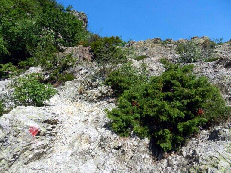 Ferrata degli Artisti - foto 21