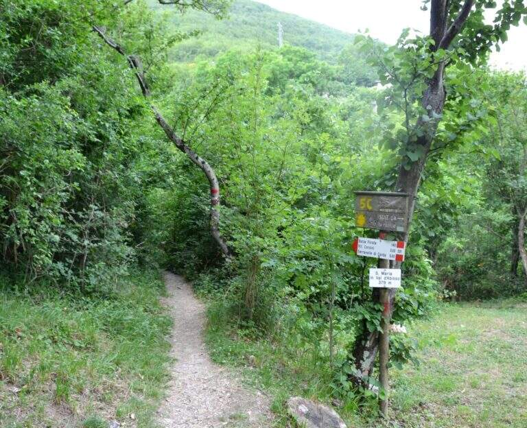 Sentiero Attrezzato del Canalino della Balza Forata - foto 3