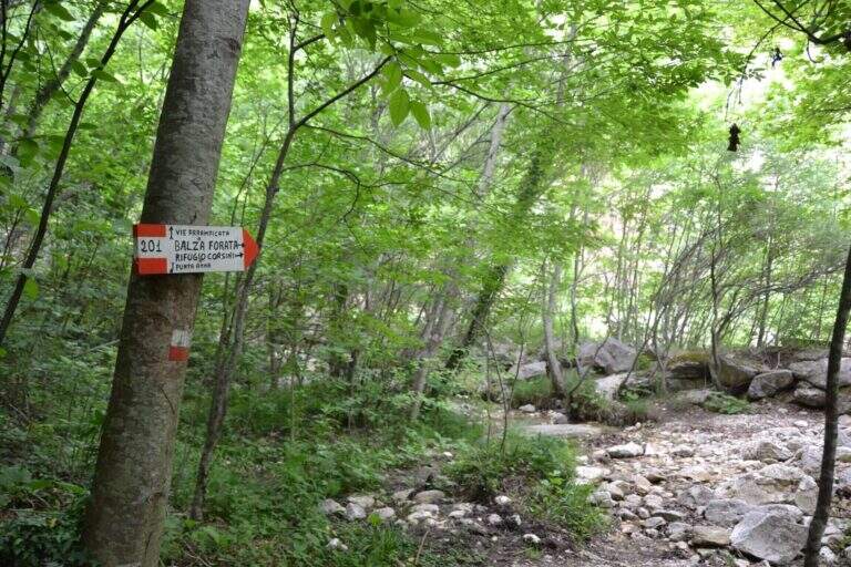 Sentiero Attrezzato del Canalino della Balza Forata - foto 2