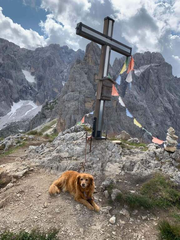 Ferrata Martini al Campanile di Colesei