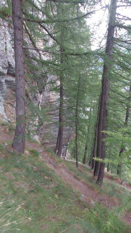 Ferrata Bethaz Bovard - foto 31
