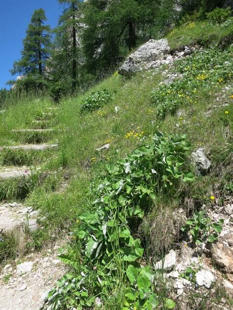 Ferrata Bolver Lugli - foto 9
