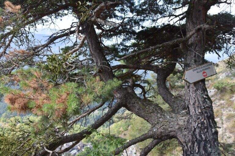 Ferrata di Camoglieres - foto 58