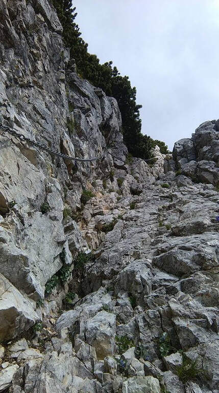 Ferrata Carlo Campalani al Carega - foto 20