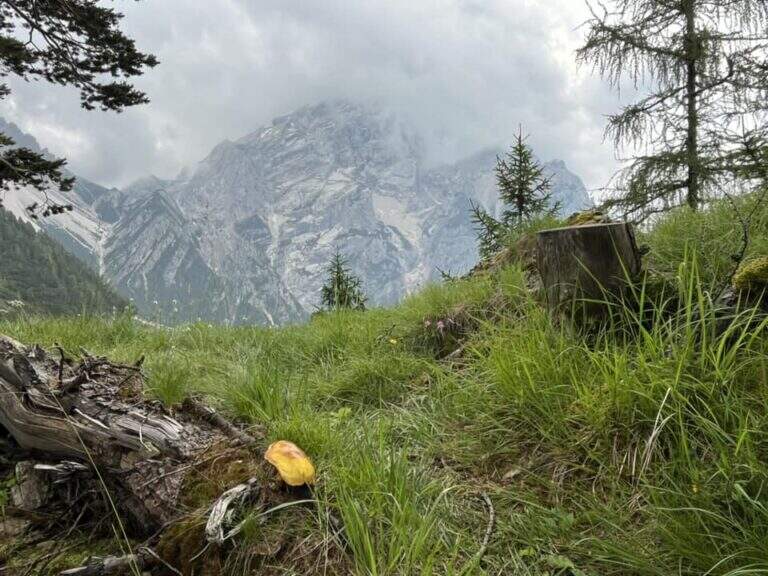 Ferrata dei Caprioli - San Vito di Cadore - foto 23