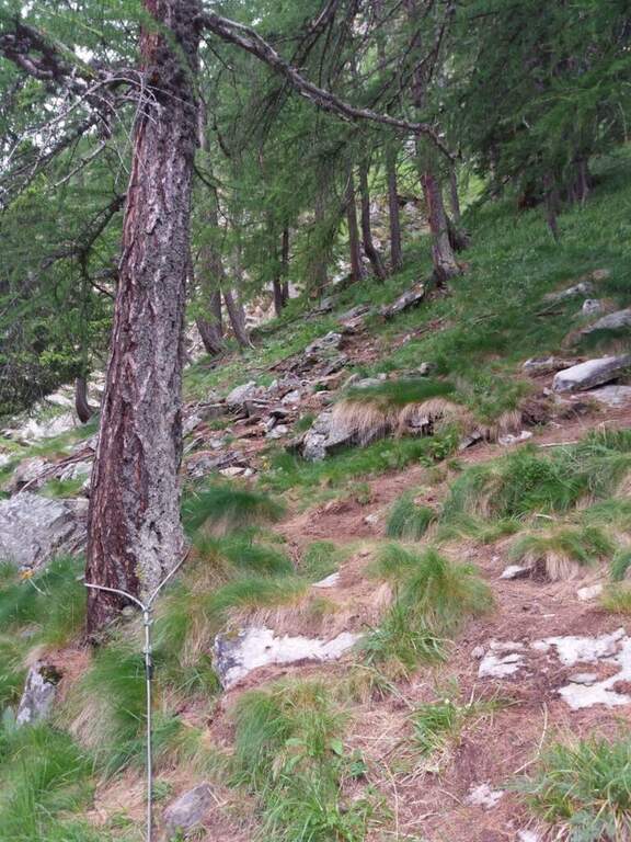 Ferrata Casimiro in Val di Rhemes - foto 18