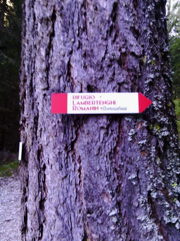Ferrata Nord del Coglians (Weg der 26er) - foto 5