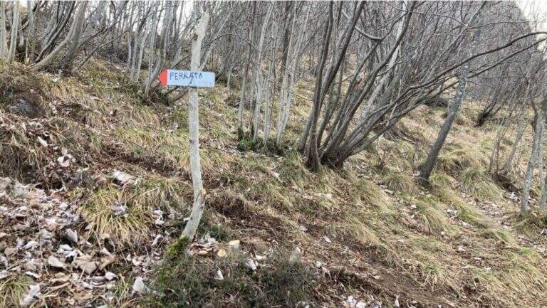 Ferrata il Nido dei Santa Croce (Corna Maria) - foto 7