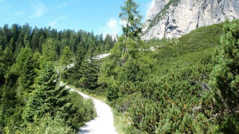 Ferrata Costantini alla Moiazza - foto 14