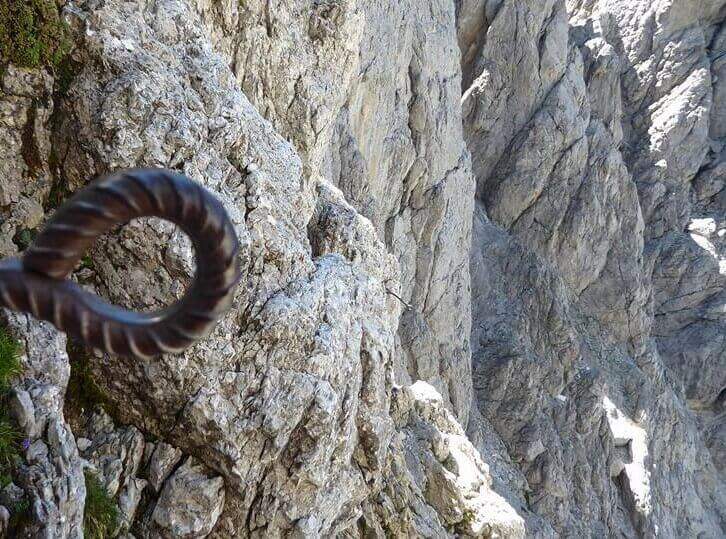 Ferrata Fiamme Gialle alla Croda Granda - foto 38