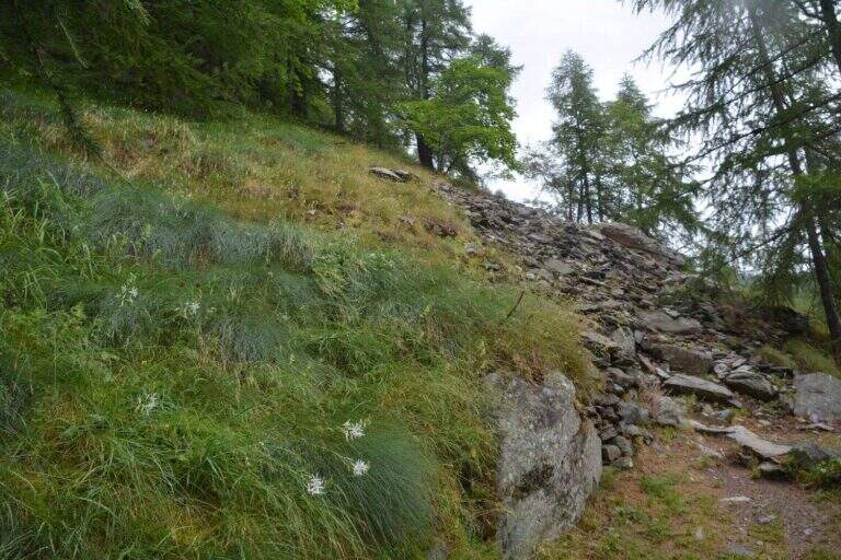 Ferrata del Gorbeillon - foto 4