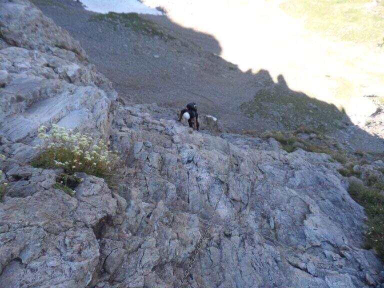 Ferrata Guerino Rossi al Pizzo Strinato - foto 28