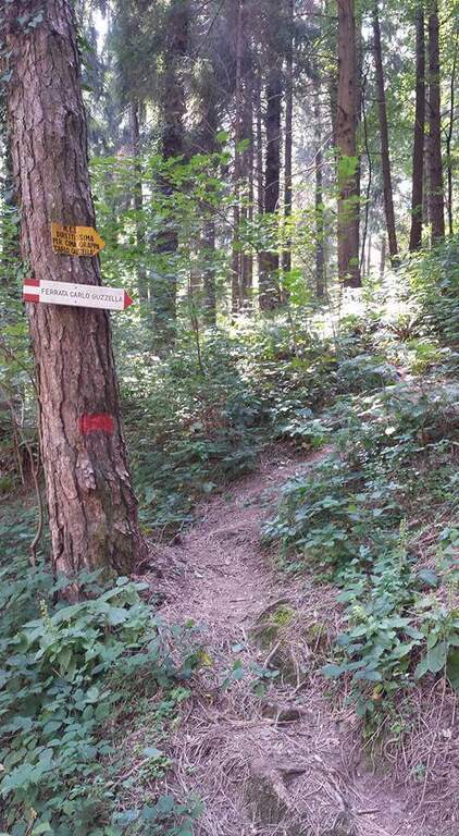 Ferrata Carlo Guzzella al Grappa - foto 4