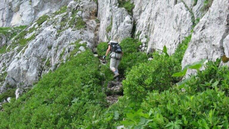 Ferrata del Mangart - foto 18