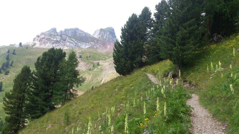 Ferrata Kaiserjager al Col Ombert - foto 6