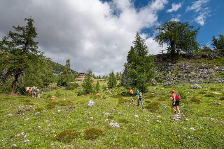 Ferrata Les Cordes - foto 18