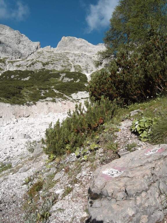Ferrata Mazzetta alla Croda di Tacco - foto 11