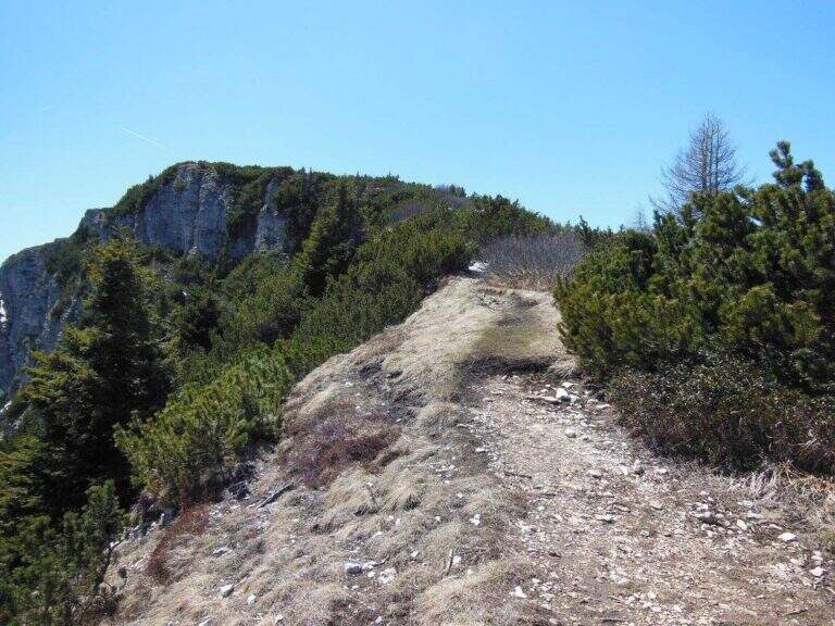 Ferrata Mendola al Roèn - foto 27