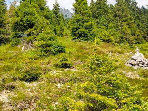 Ferrata Passo dei 6 al Monte Coppolo - foto 68