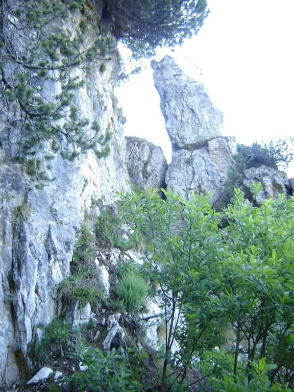 Sentiero Attrezzato al Monte Cornetto – Passo Campogrosso - foto 14