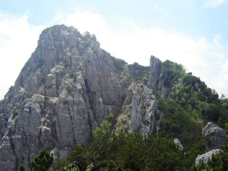 Sentiero Attrezzato al Monte Cornetto – Passo Campogrosso - foto 9