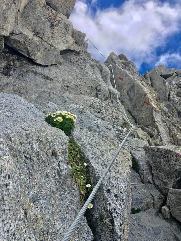 Ferrata Monte Nero (Presanella) - foto 13