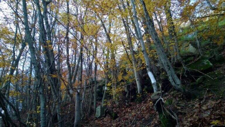 Ferrata Monte Penna (Penna di Civago) - foto 5