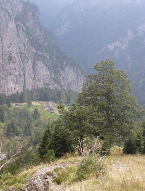 Ferrata Piero Rossi alla Forcella Marmol - foto 14