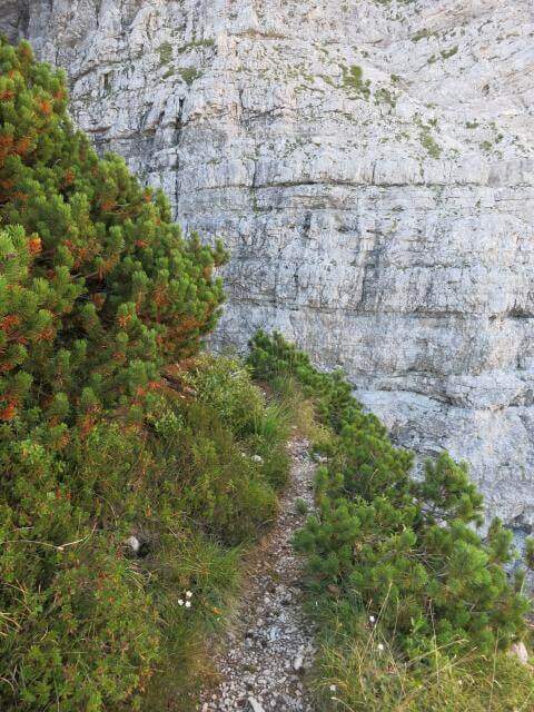 Ferrata Piero Rossi alla Forcella Marmol - foto 30