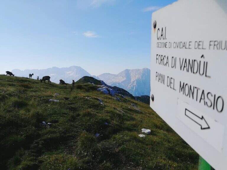 Ferrata Norina al Monte Cimone - foto 18