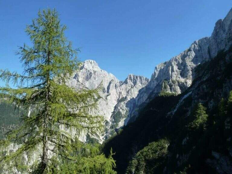 Ferrata Norina al Monte Cimone - foto 22